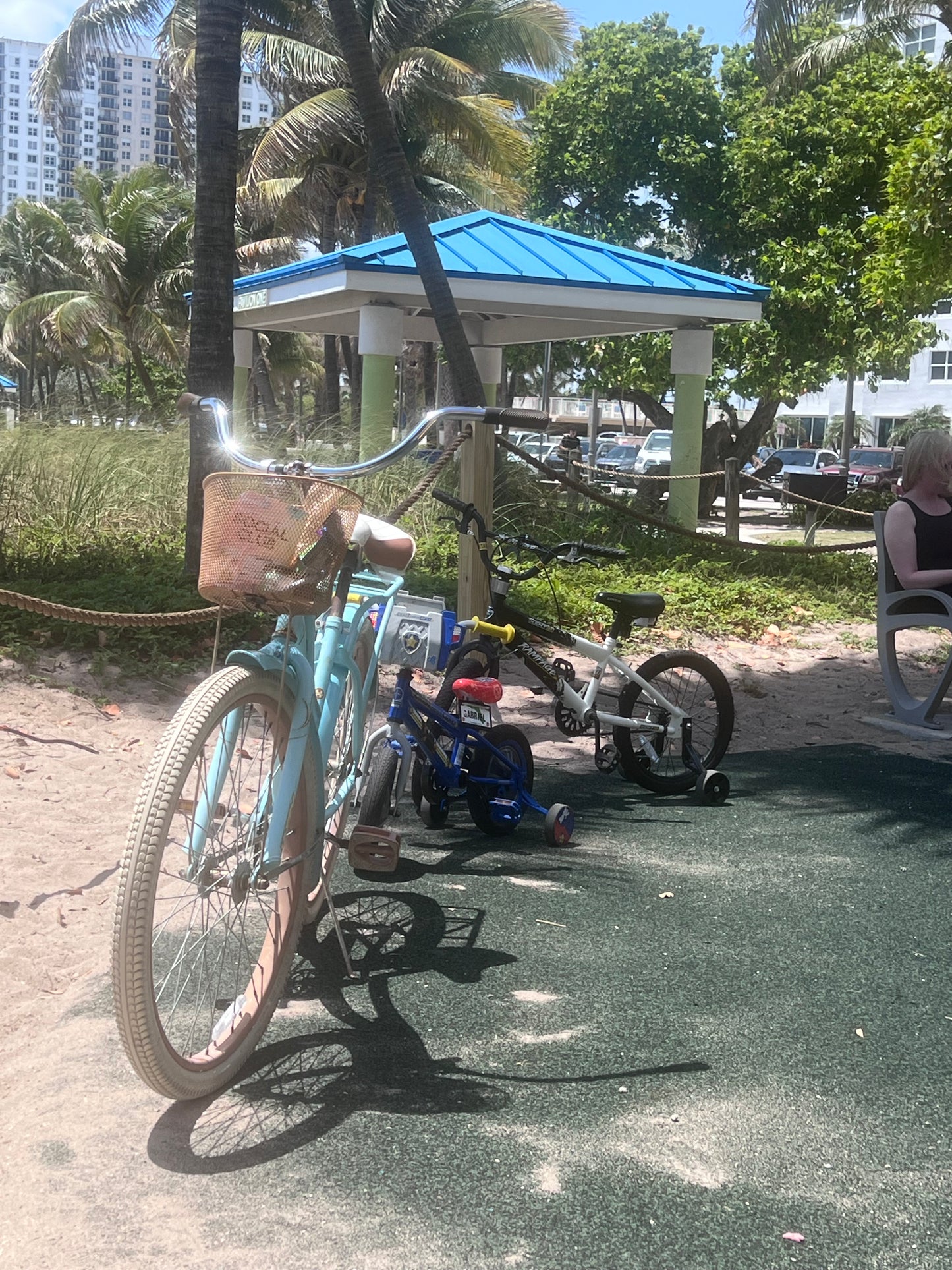Mom Cruiser Rental
