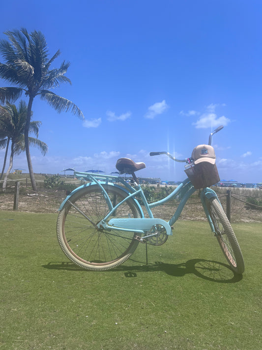 Mom Cruiser Rental